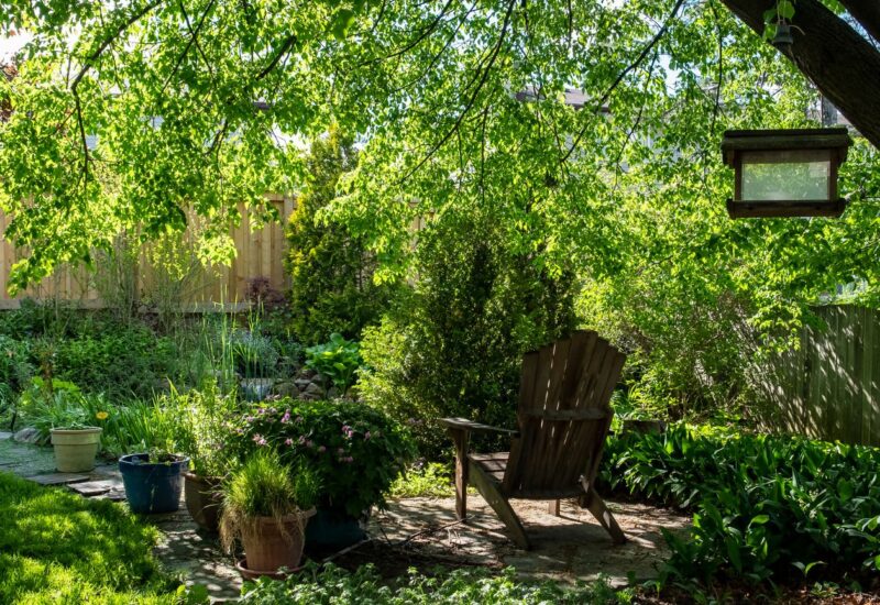 10 Inspiring Landscaping Ideas for Your Outdoor Oasis