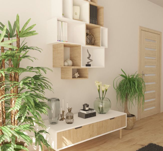 indoor planters best bangalore karnataka